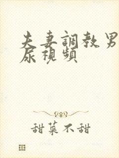 夫妻调教男奴喝尿视频封面