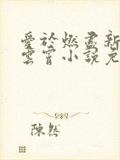 爱于燃尽新生顾云霄小说免费阅读封面