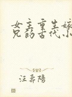 女主重生嫁给养兄的古代小说