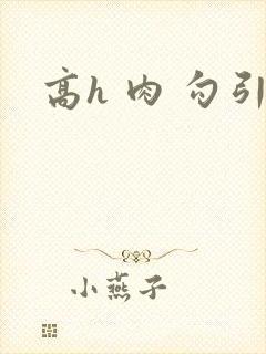 高h 肉 勾引封面