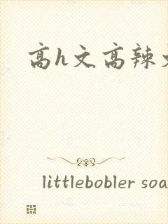 高h文高辣文