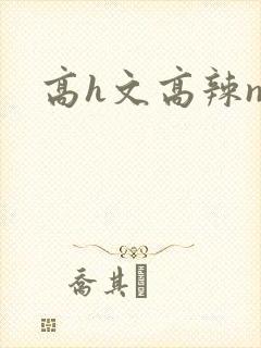 高h文高辣np