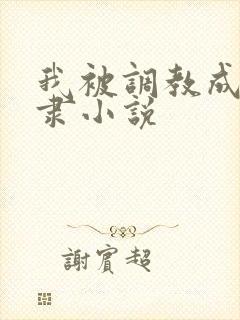 我被调教成性奴隶小说