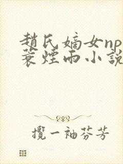 赵氏嫡女np一蓑烟雨小说全文免费