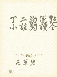 丁二狗猎艳人生小说阅读全文