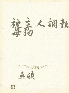 被主人调教成骚母狗