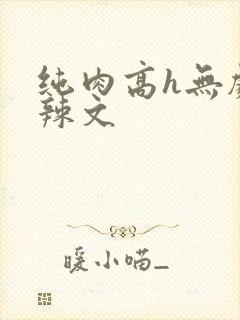 纯肉高h无剧情辣文