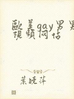 欧美gay男男视频网站
