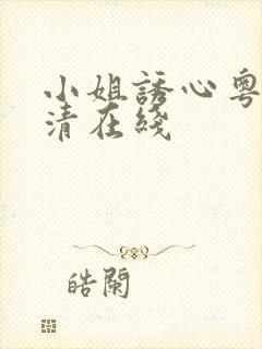 小姐诱心粤语高清在线