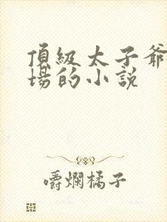 顶级太子爷混官场的小说封面