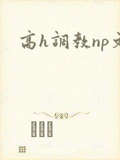 高h调教np文