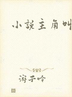 小说主角叫林川