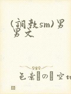 (调教sm)男男文封面