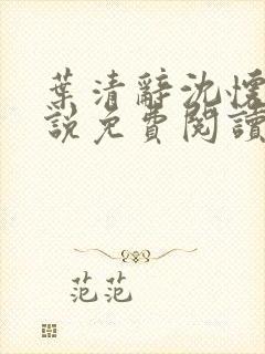 叶清辞沈怀瑾小说免费阅读最新章节