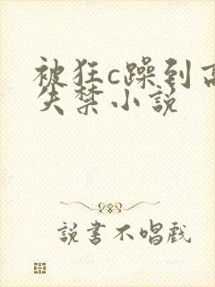 被狂c躁到高潮失禁小说