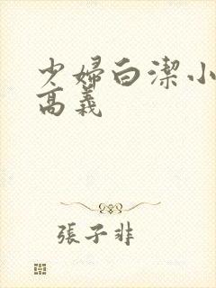 少妇白洁小说,高义