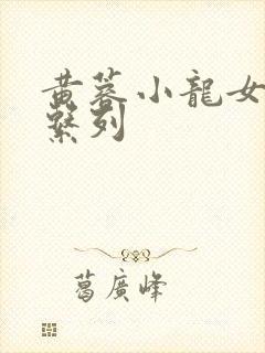 黄蓉小龙女h文系列