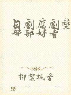 日剧腐剧双男主哪部好看封面