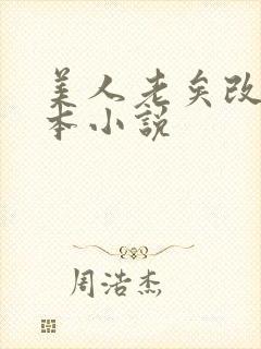 美人老矣改编哪本小说封面