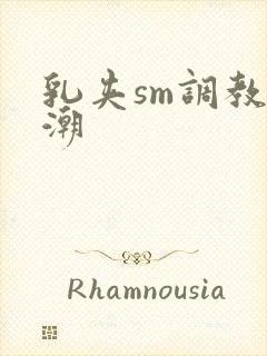 乳夹sm调教高潮