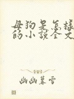 母狗是怎样操熟的小说全文阅读