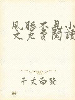 风听不见小说全文免费阅读最新章节