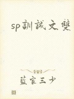 sp训诫文双男封面