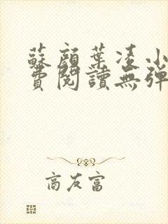 苏颜叶凌小说免费阅读无弹窗无广告