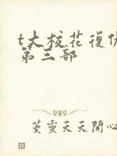 t大校花复仇记第三部封面