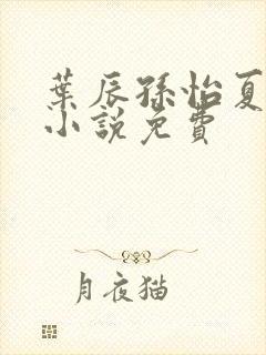 叶辰孙怡夏若雪小说免费