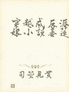 穿越成反派的后娘小说姜莲珠封面