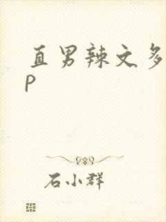 直男辣文多人np