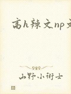 高h辣文np文