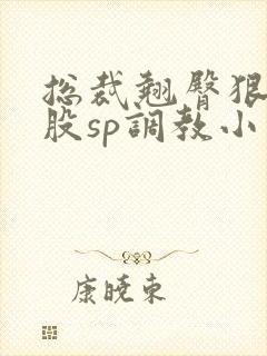 总裁翘臀狠揍屁股sp调教小说