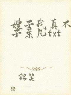 嫂子我真不是傻子叶凡txt封面