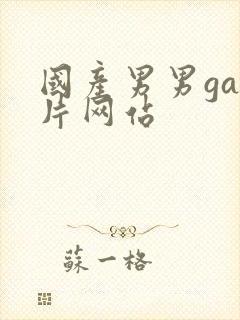 国产男男gay片网站