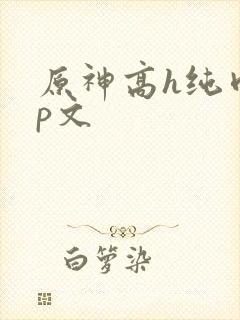 原神高h纯肉np文