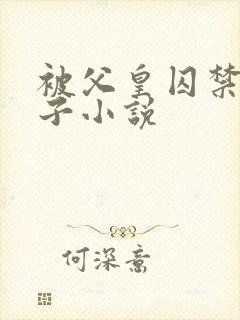 被父皇囚禁的皇子小说