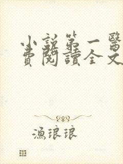 小说第一医妃免费阅读全文