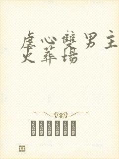 虐心双男主追夫火葬场