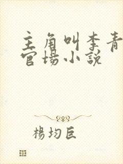 主角叫李青云的官场小说