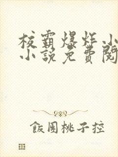 校霸爆炸小漂亮小说免费阅读封面