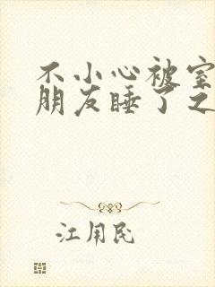 不小心被室友男朋友睡了之后小说封面