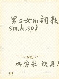 男s女m调教(sm,h,sp)