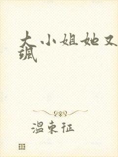 大小姐她又美又飒