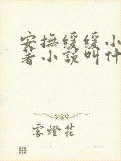 安抚缓缓小说原著小说叫什么名字封面