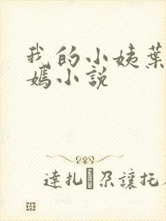 我的小姨叶凡司嫣小说