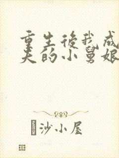 重生后我成了前夫的小舅娘全文免费阅读