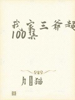 我家三爷超宠的100集