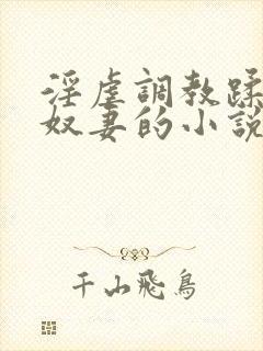 淫虐调教蹂躏共奴妻的小说封面